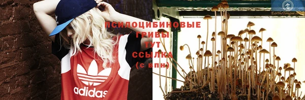 a pvp Абинск