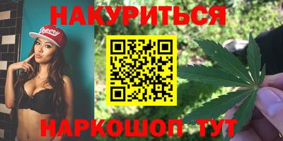 индика Можайск