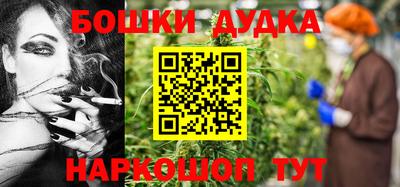 индика Можайск