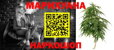 индика Можайск