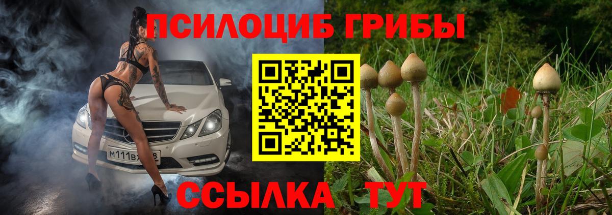 Галлюциногенные грибы Psilocybine cubensis Сорочинск