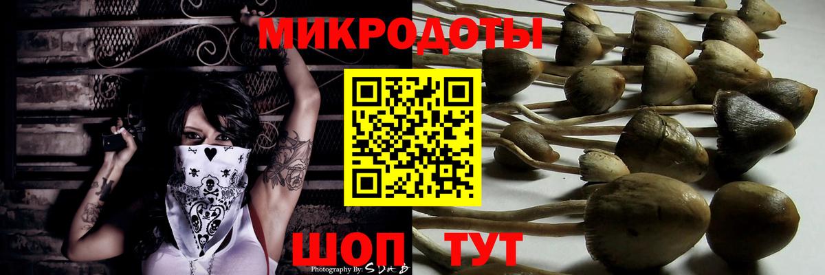 Сорочинск  Галлюциногенные грибы Psilocybe  Вход с VPN  Галлюциногенные грибы GOLDEN TEACHER 